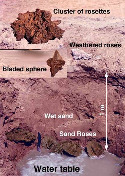 Sahara Sand Rose from Algeria