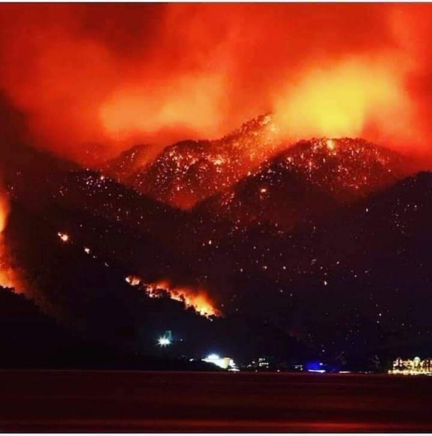 Bush Fires in the Kabylia region of Algeria