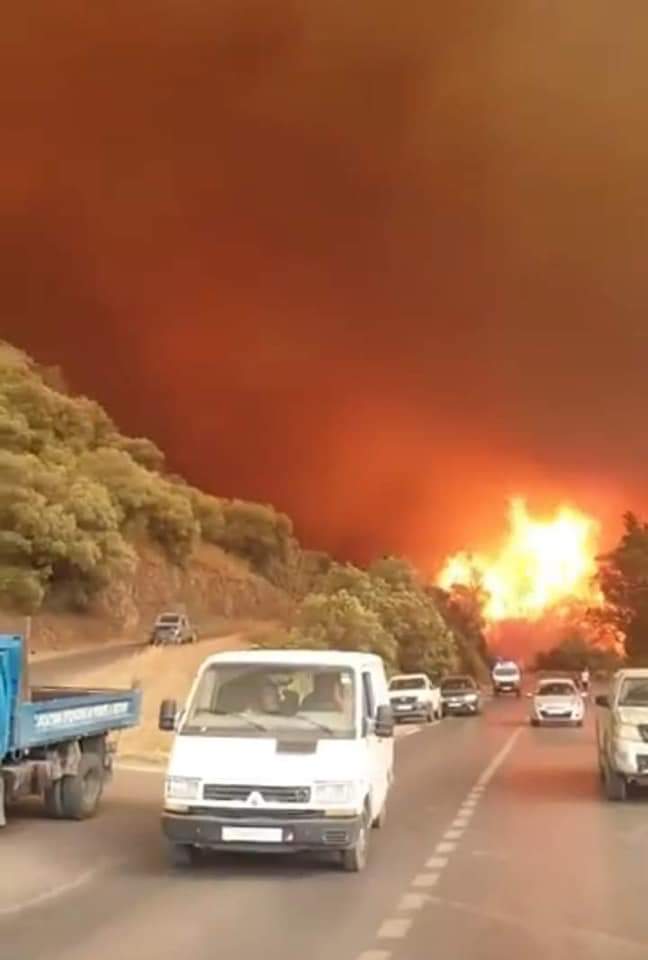 Les feux de forets en Kabylie Algerie